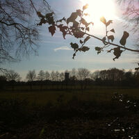 Abendstimmung, Im Hintergrund wieder der Förderturm erkennbar