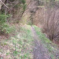 Arzl-Ried - Leins (3).JPG