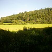 Hegne - Nonnenwiese