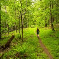 Im Frühjahr erstrahlt diese Wanderung förmlich