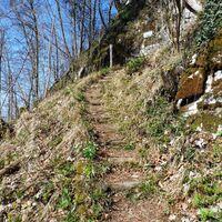 Weg zur Ruine Gutrat