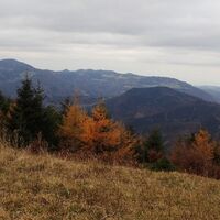 Abstieg zum Dürrholzer Kreuz