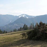 Ausblick östl. der Speckbacher Hütte
