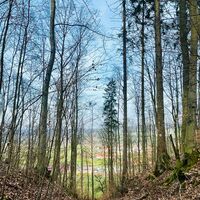 Blick Richtung Bibra