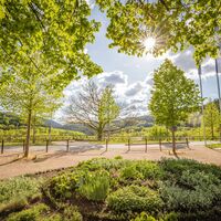 Garten auf Schloss Schwarzburg