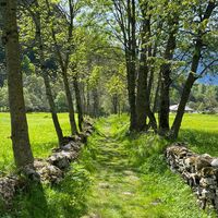 historische Strasse Naters - Blatten, Geimerblatt