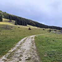 Schaumbergalm mit Abstiegswiese