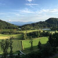 Blick_vom_Balkon_Sommer