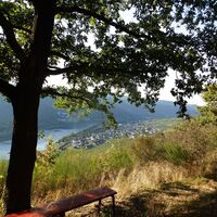 Abstieg nach Enkirch
