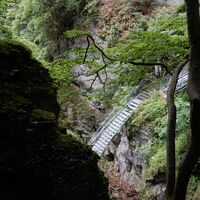Hochbärneck - Lackenhof