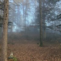 Steinmann am Wegesrand etwas unterhalb des Heuberg-Gipfels (eine unscheinbare Walderhebung ca 20 Meter diese Richtung)