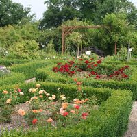 Park Canitz