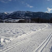 schöne Loipe im Großdorfer Feld