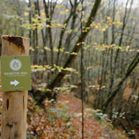 Waldretter-Trail_Herbst_HighRes-30