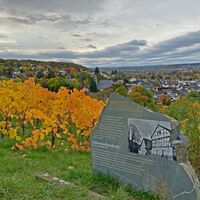 Weinberge Oberdollendorf
