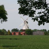 Blender Mühle