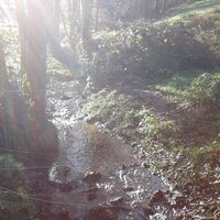Rundkurs La Trivalle