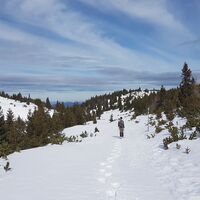 Durch wunderschöne Landschaft zur Höllentalaussicht