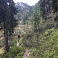 kurz vor dem "Bödele"