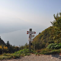 Bocca Larici