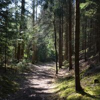 Trasse im Jaunitztal