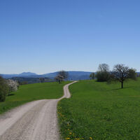 Wehr 4
