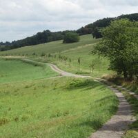 Obstbaumlehrpfad