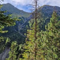 Erster Blick auf den heutigen weiteren Weg im Gegenhang. Links neben dem Baum in der Bildmitte liegt die Scharte des Meileskars.