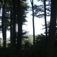 am Sonnberg
