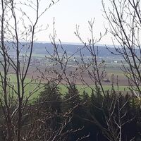 Wunderschöner Blick durch Bäume runter auf Wolfertschwenden