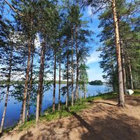 Der Flechtenpfad von Huutoniemi verläuft durch ein schönes Hügelgebiet.
