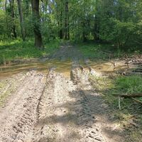 Gemenc National Forest