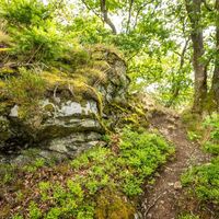 Eifelsteig - Weg zur Uhusley