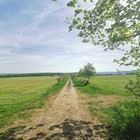 Weg von Bergern nach Schoppendorf