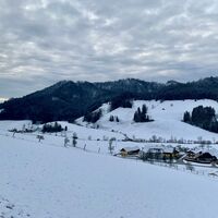 natur.BANK.wege | Gaflenz | Bärenreithweg | 333403