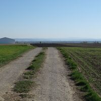 am Weg nach Eggendorf