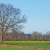 Viel Natur rund um Rhade