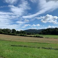 Mein Weg zum Glück