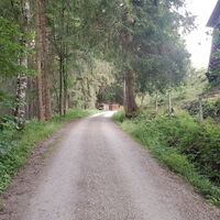 Durch den Wald zum Finsterlhof