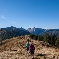 Wanderung vom Rossfeld zur Guschen