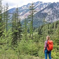 Der Wanderweg führt durch den Wald