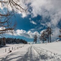 im schnee auf die packeralpe_img_25667537