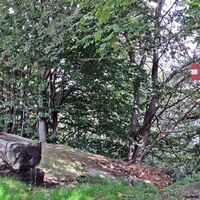 Springbrunnen in Codissart