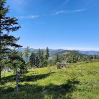 Ausblick vom Zetz Gipfel in der Oststeiermark