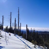 Ausblick nach Süden zu den Alpen