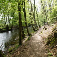 Eifgenbachtal