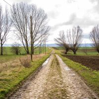 Feldweg Richtung Weddersleben