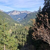 Rückweg Richtung Edenbachalpe