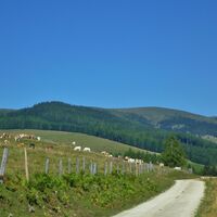 Weg Lamminger Halt