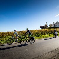 Radtour im Weinland Steiermark